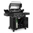 Broil King Crown 490 Shadow Gas Barbecue with FREE COVER (865183) Alternative Image