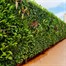 Green4Air 12 Pod Greenwall Vertical Gardening Starter Pack Alternative Image
