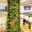 Green4Air 12 Pod Greenwall Vertical Gardening Starter Pack Alternative Image