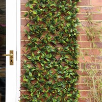 Smart Garden Lemon Leaf Willow Artificial Trellis Screening 180 x 60 cm (5045082)